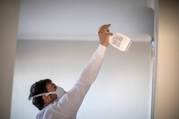 Best Mold Removal Company Near Me  in Cambridge Springs, PA