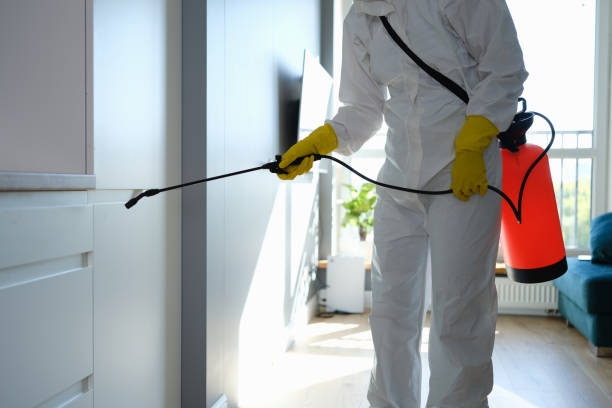 Best Commercial Mold Removal  in Cambridge Springs, PA