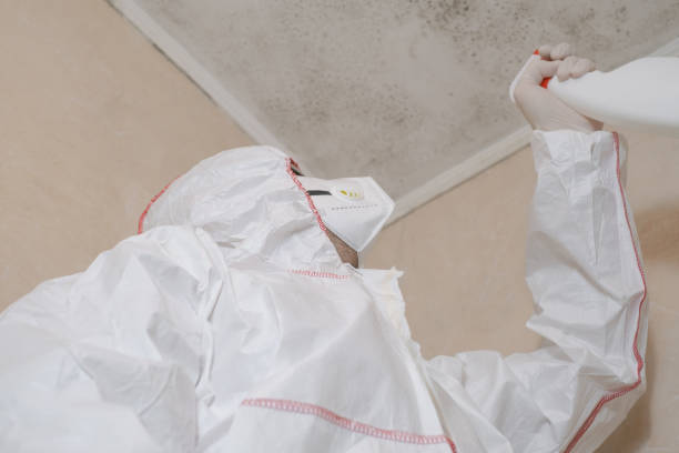 Best Black Mold Removal  in Cambridge Springs, PA