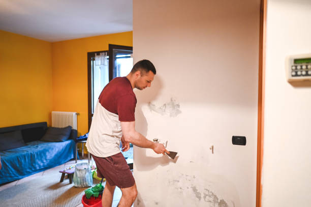 Mold Removal Process in Cambridge Springs, PA